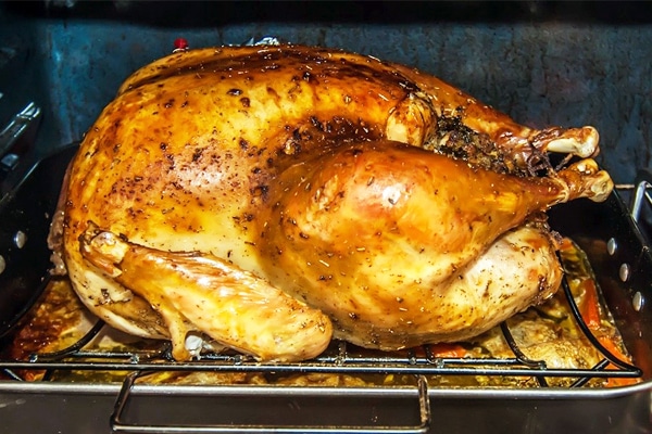 foods that are good sources of protein Turkey Poultry