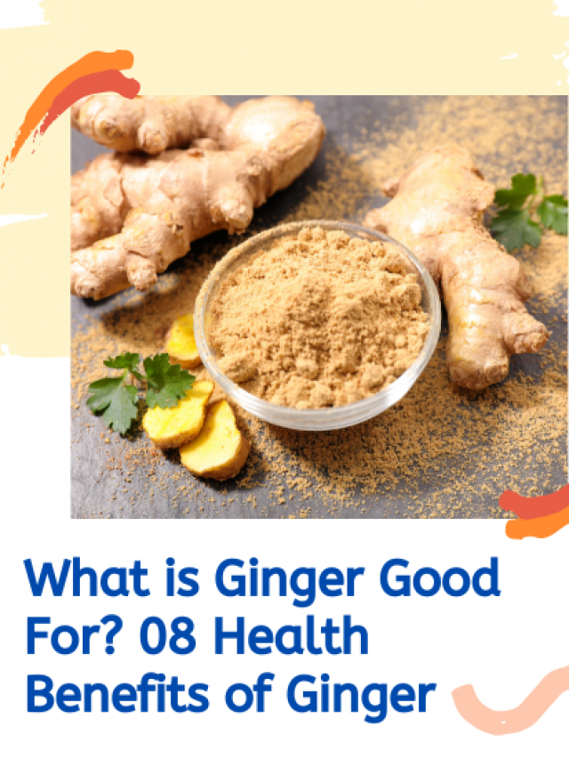 What is Ginger Good For? 08 Health Benefits of Ginger
